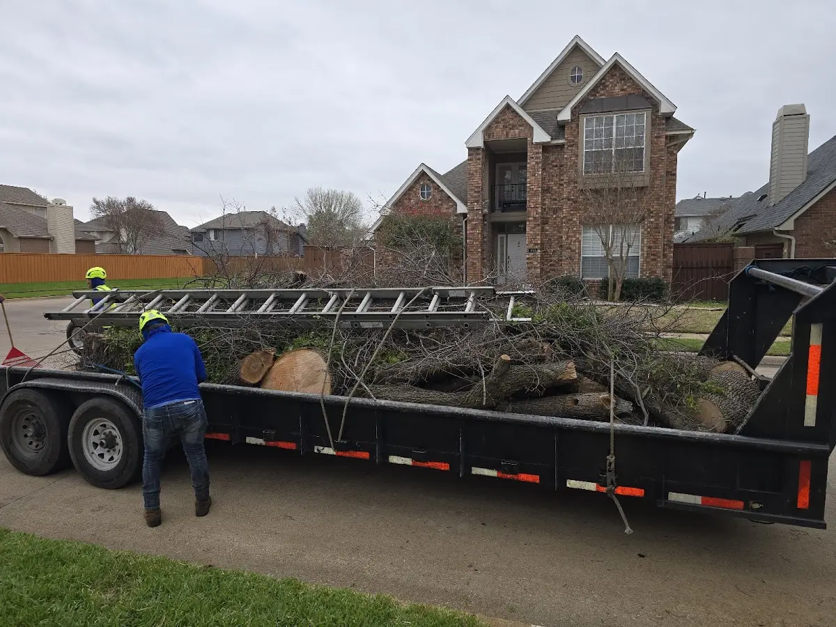 Expert Tree Fertilization with proper safety equipment in Shonto